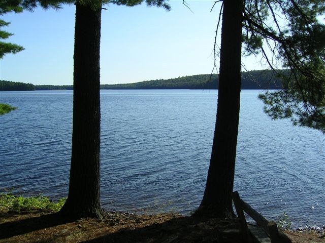 Vue du Lac Forant sur l'le, chalet #2